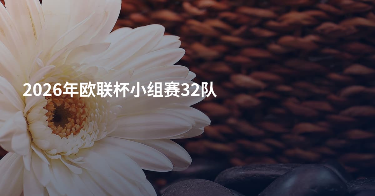 2026年欧联杯小组赛32队