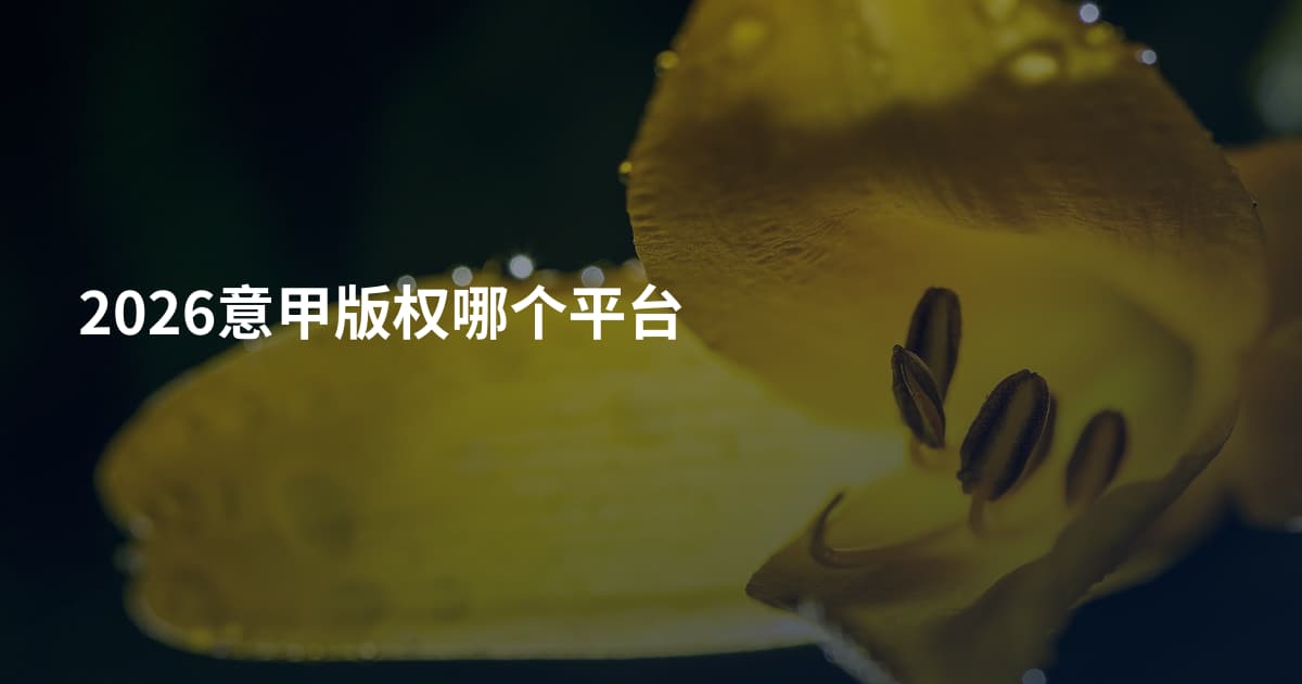 2026意甲版权哪个平台