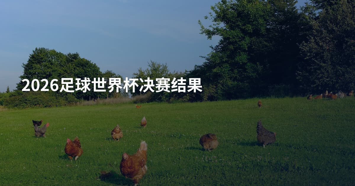 2026足球世界杯决赛结果