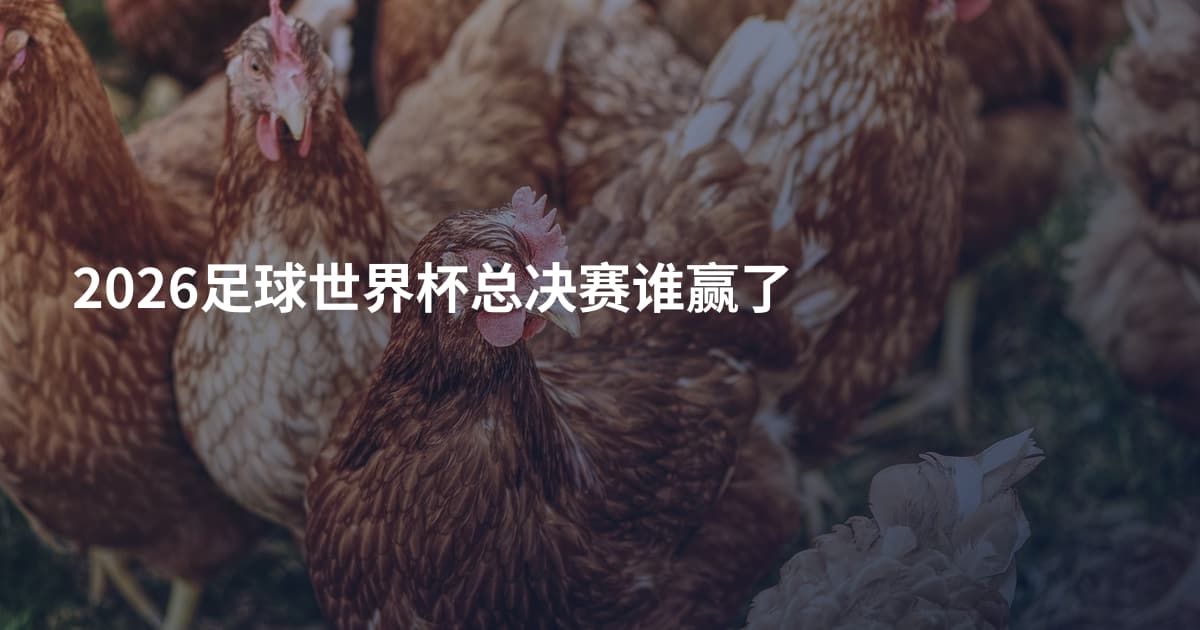 2026足球世界杯总决赛谁赢了