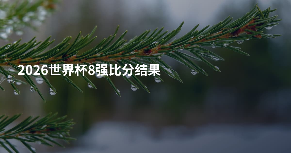 2026世界杯8强比分结果