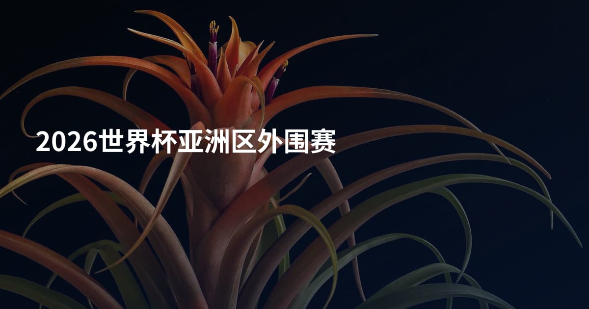 2026世界杯亚洲区外围赛