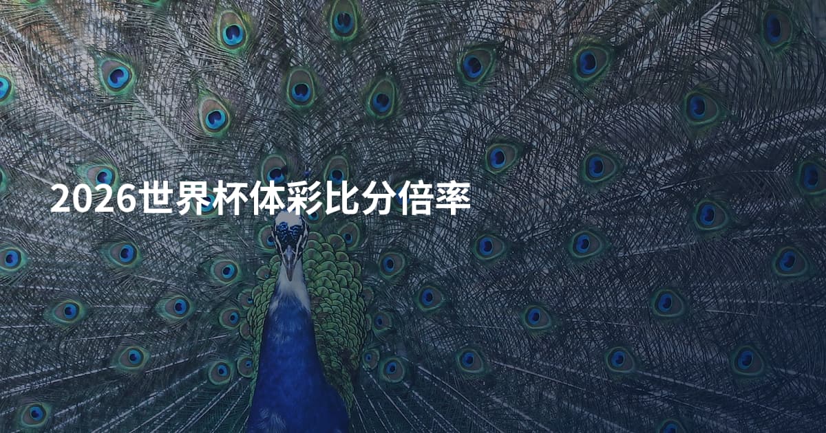2026世界杯体彩比分倍率