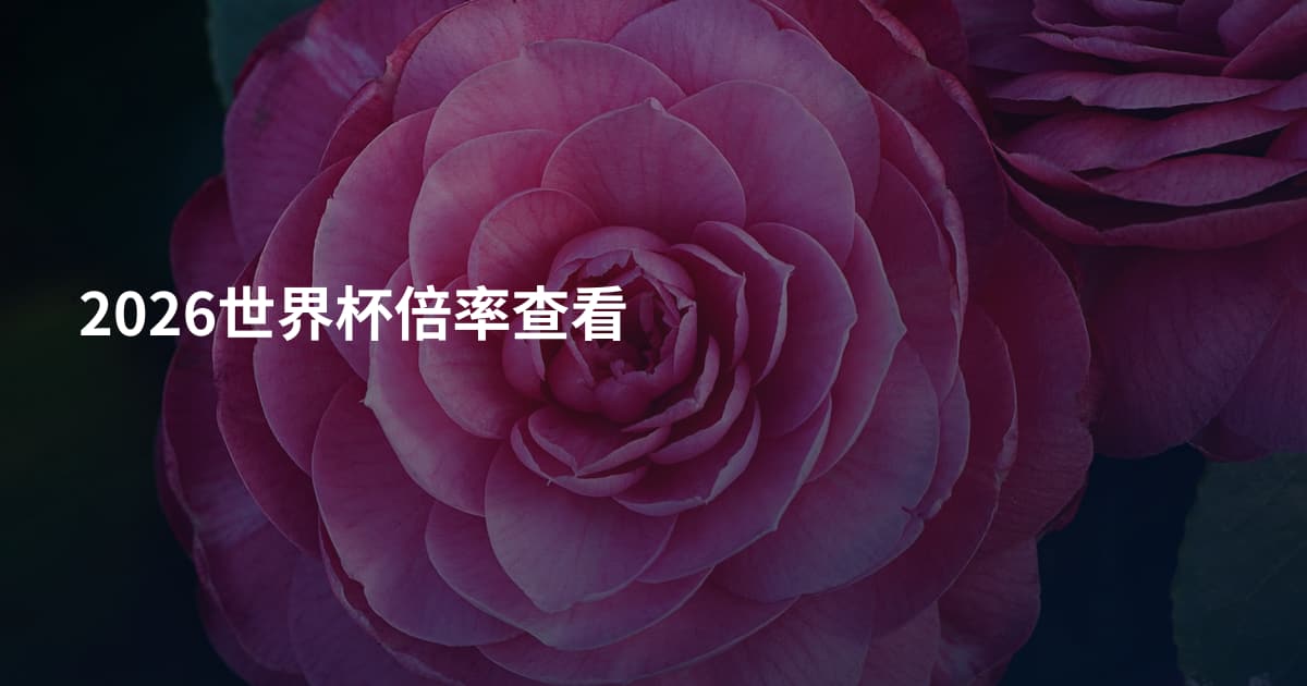 2026世界杯倍率查看