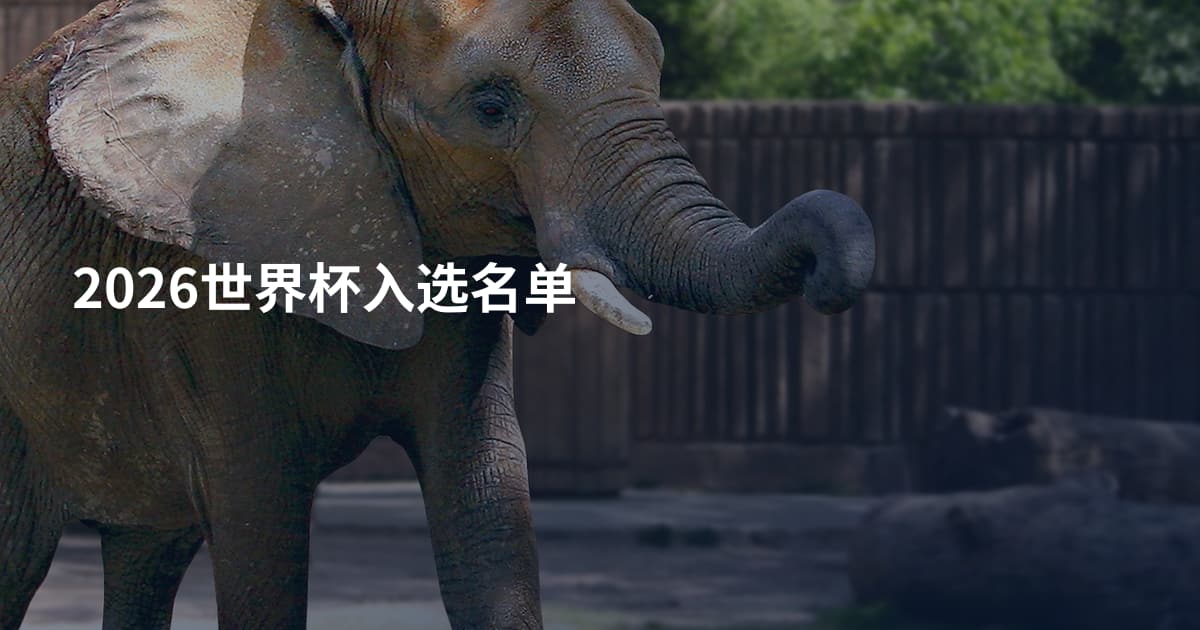 2026世界杯入选名单
