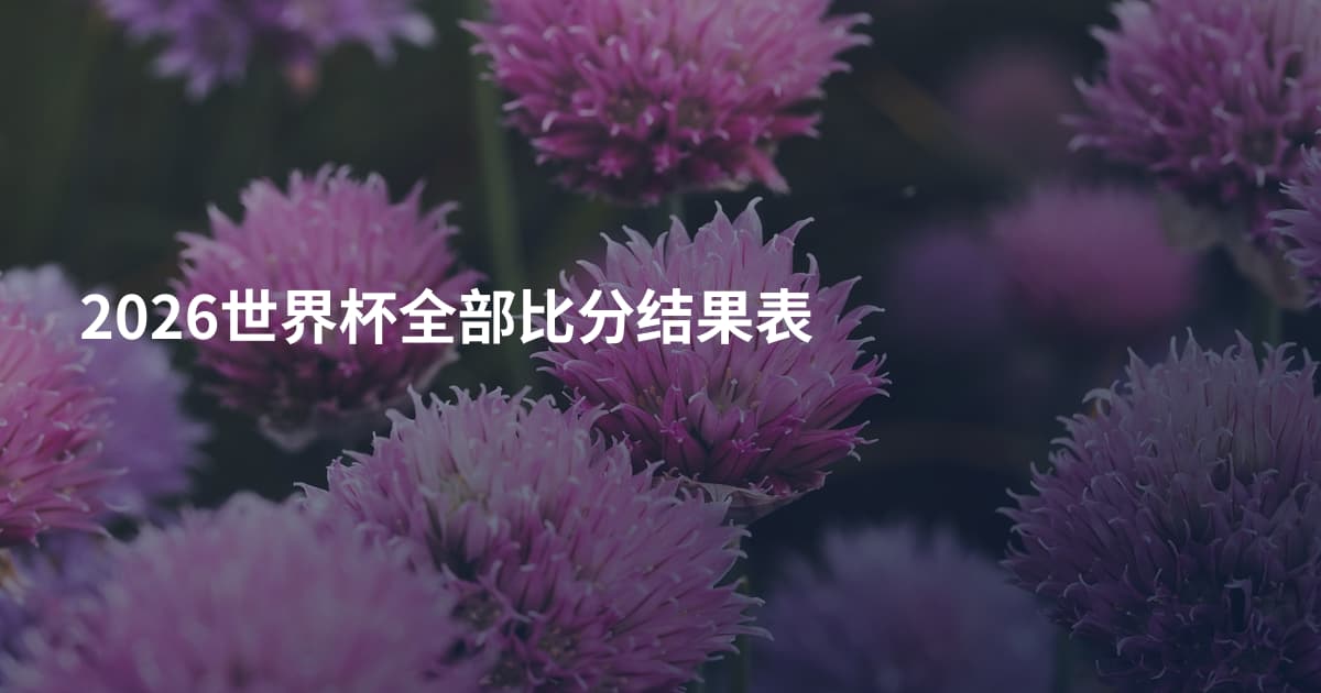 2026世界杯全部比分结果表
