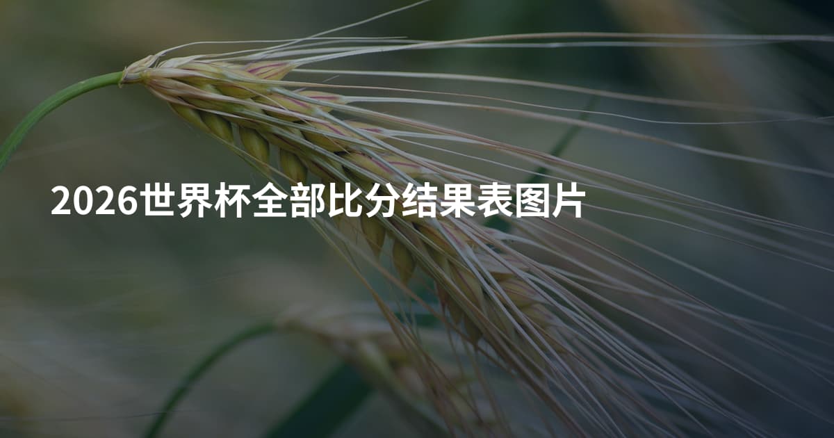 2026世界杯全部比分结果表图片