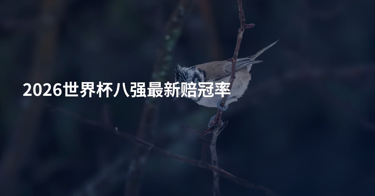 2026世界杯八强最新赔冠率