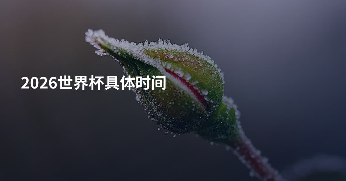 2026世界杯具体时间