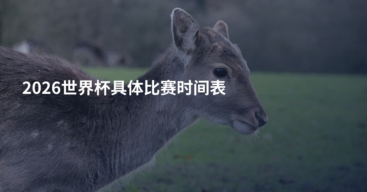 2026世界杯具体比赛时间表