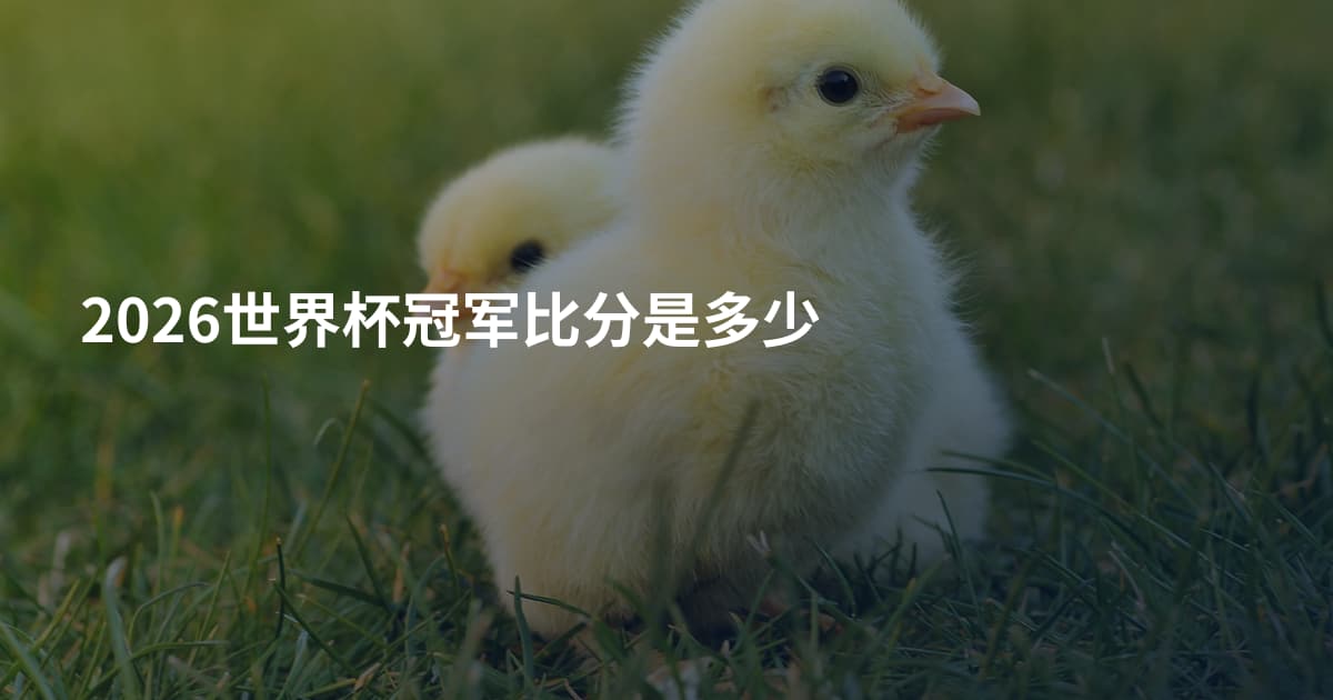 2026世界杯冠军比分是多少