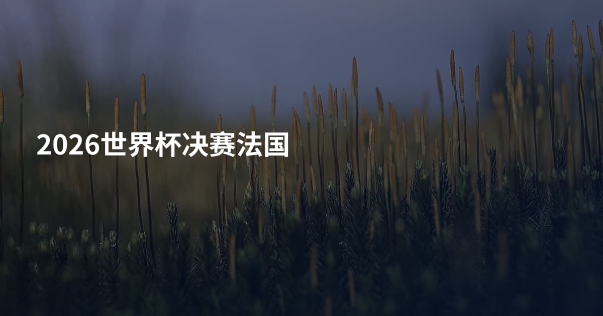 2026世界杯决赛法国