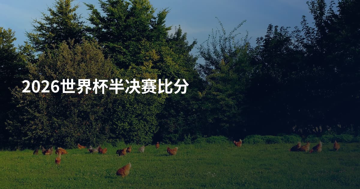 2026世界杯半决赛比分