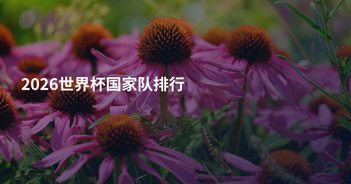 2026世界杯国家队排行