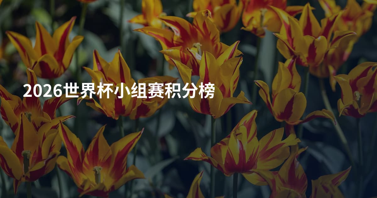 2026世界杯小组赛积分榜