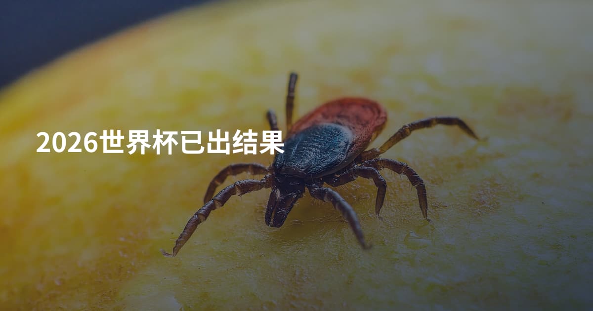 2026世界杯已出结果