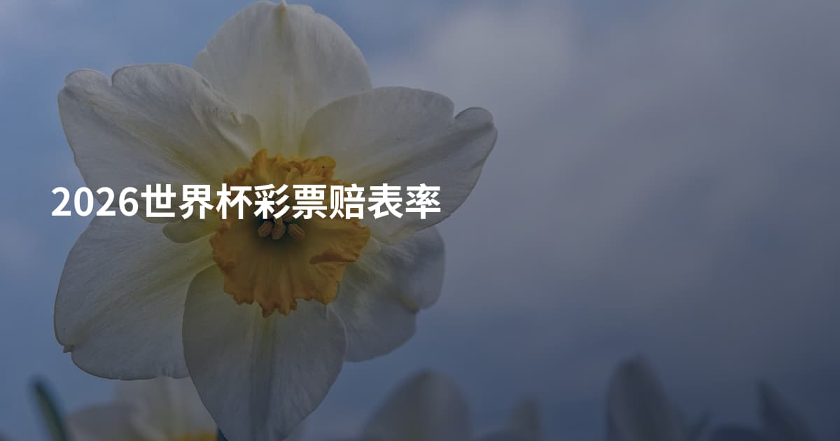 2026世界杯彩票赔表率