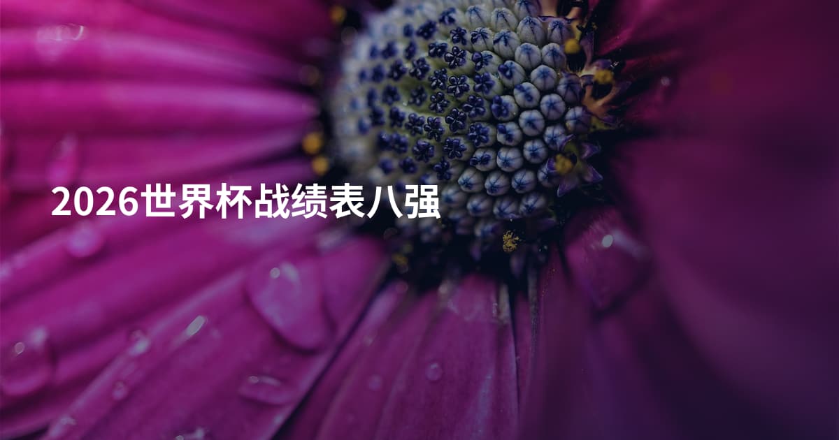 2026世界杯战绩表八强