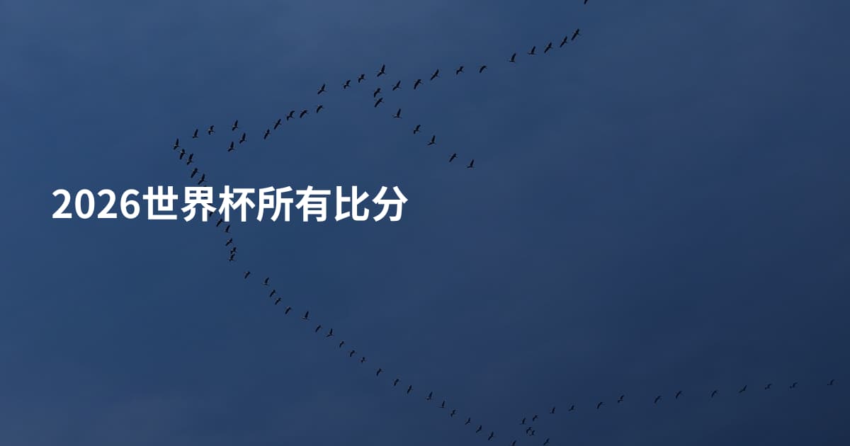 2026世界杯所有比分