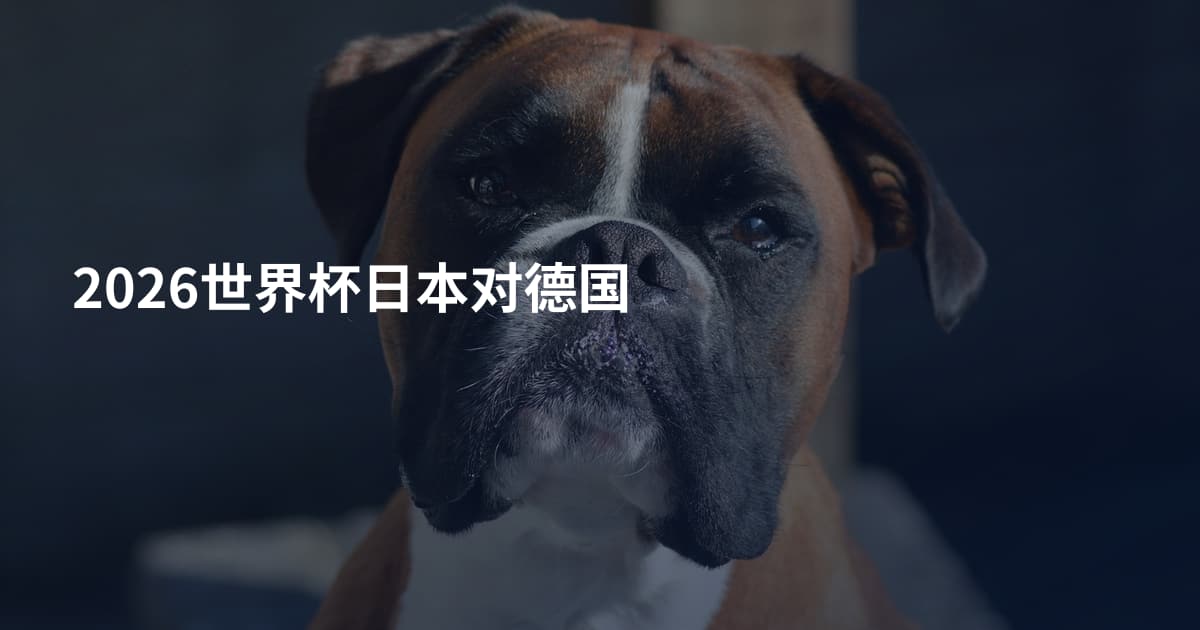 2026世界杯日本对德国