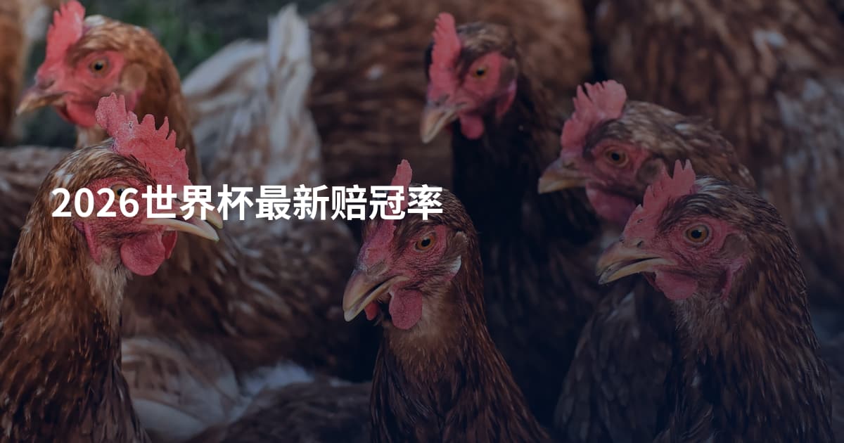 2026世界杯最新赔冠率