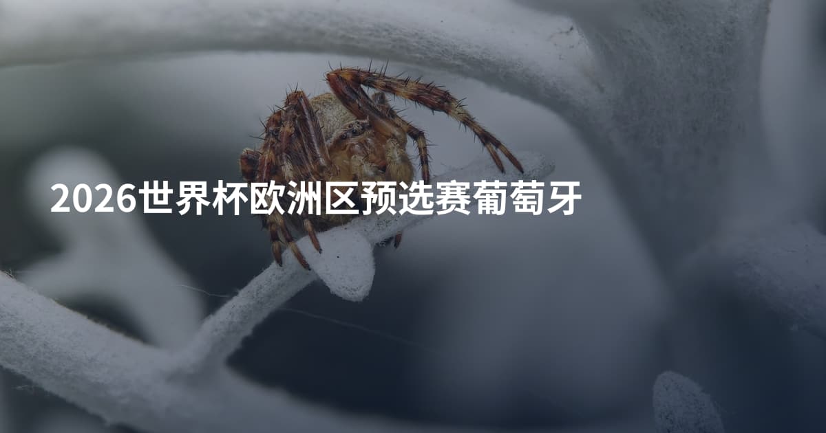 2026世界杯欧洲区预选赛葡萄牙
