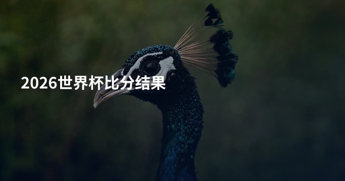 2026世界杯比分结果