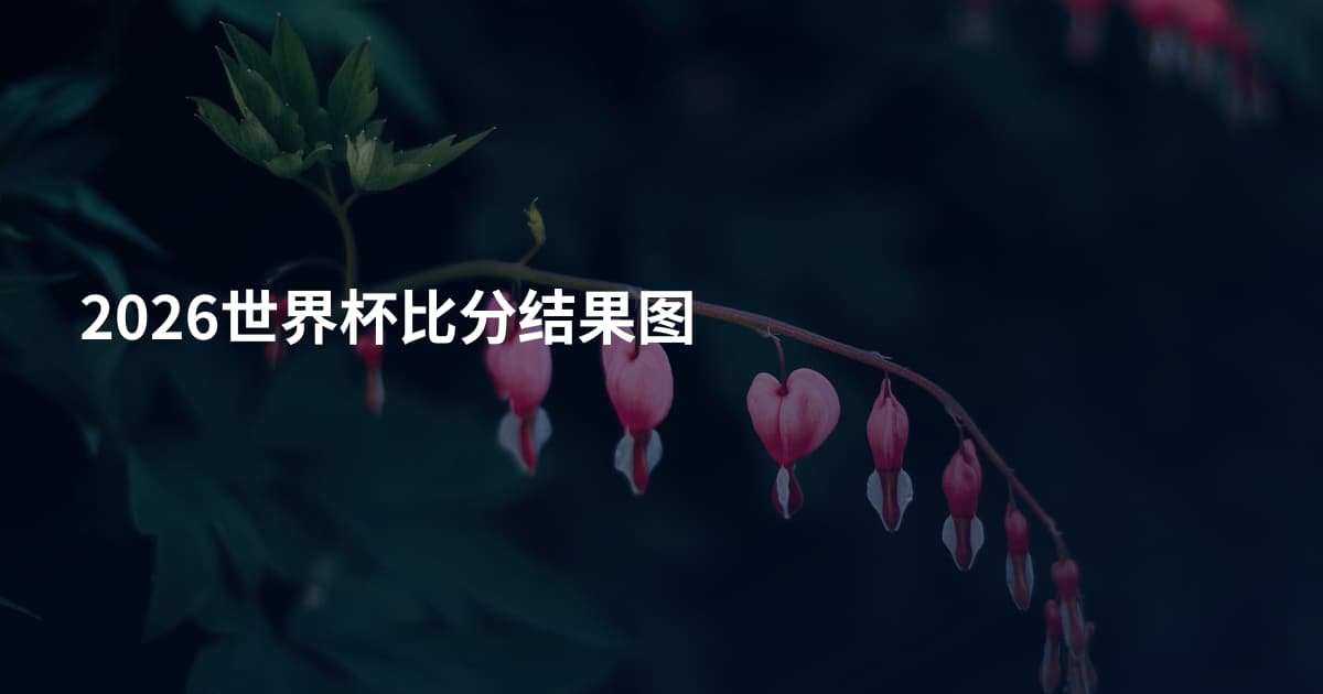 2026世界杯比分结果图