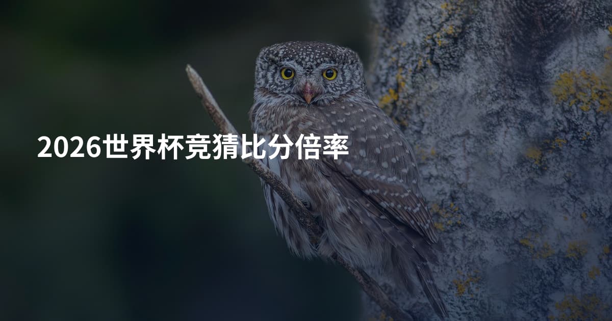 2026世界杯竞猜比分倍率