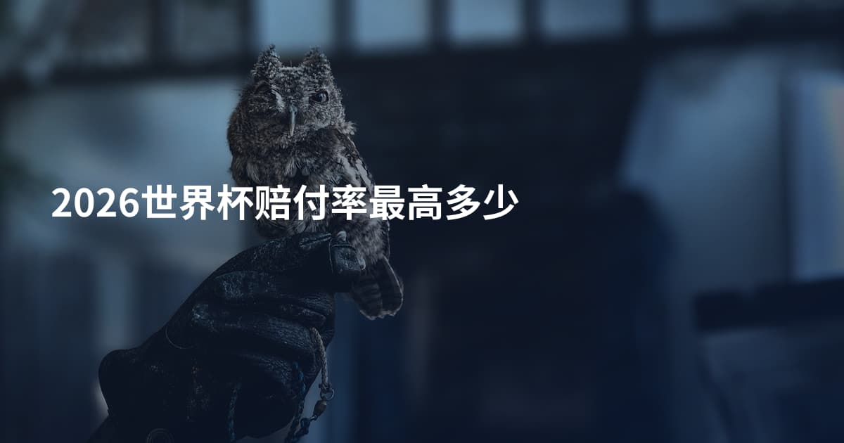 2026世界杯赔付率最高多少