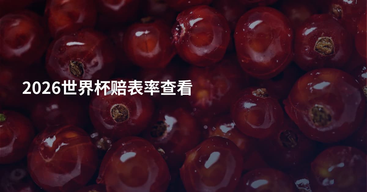 2026世界杯赔表率查看