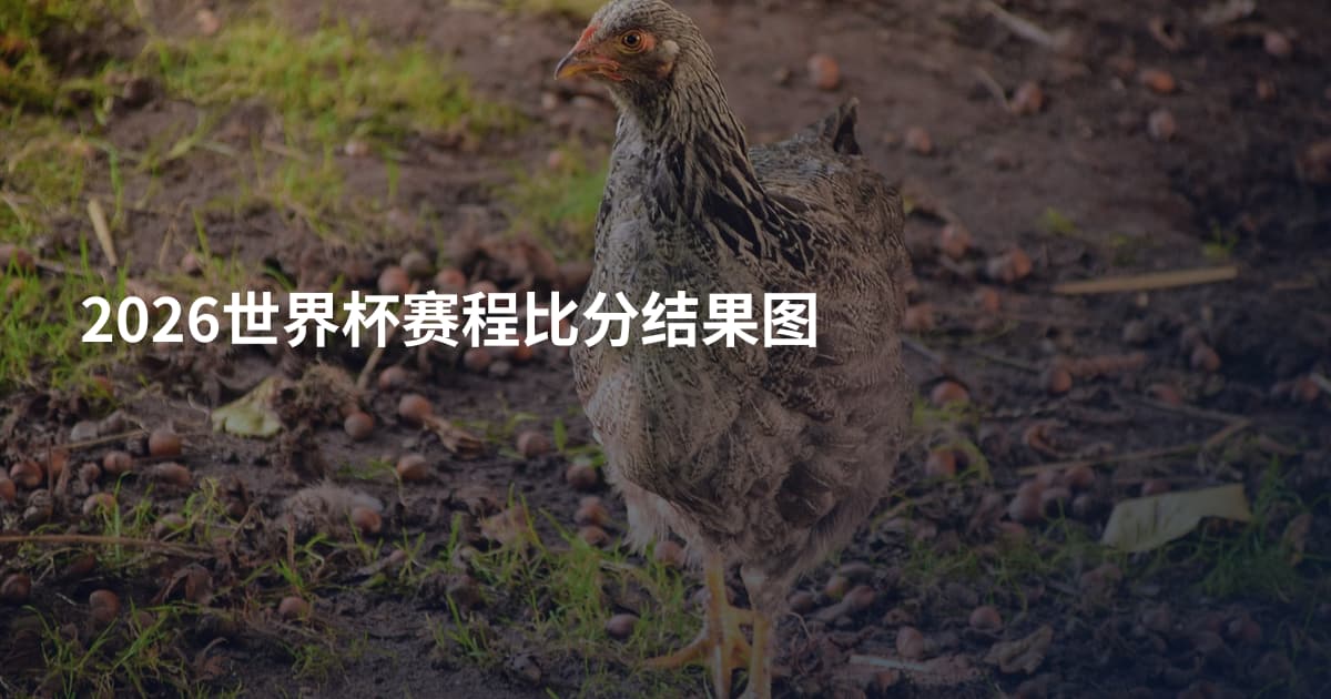 2026世界杯赛程比分结果图