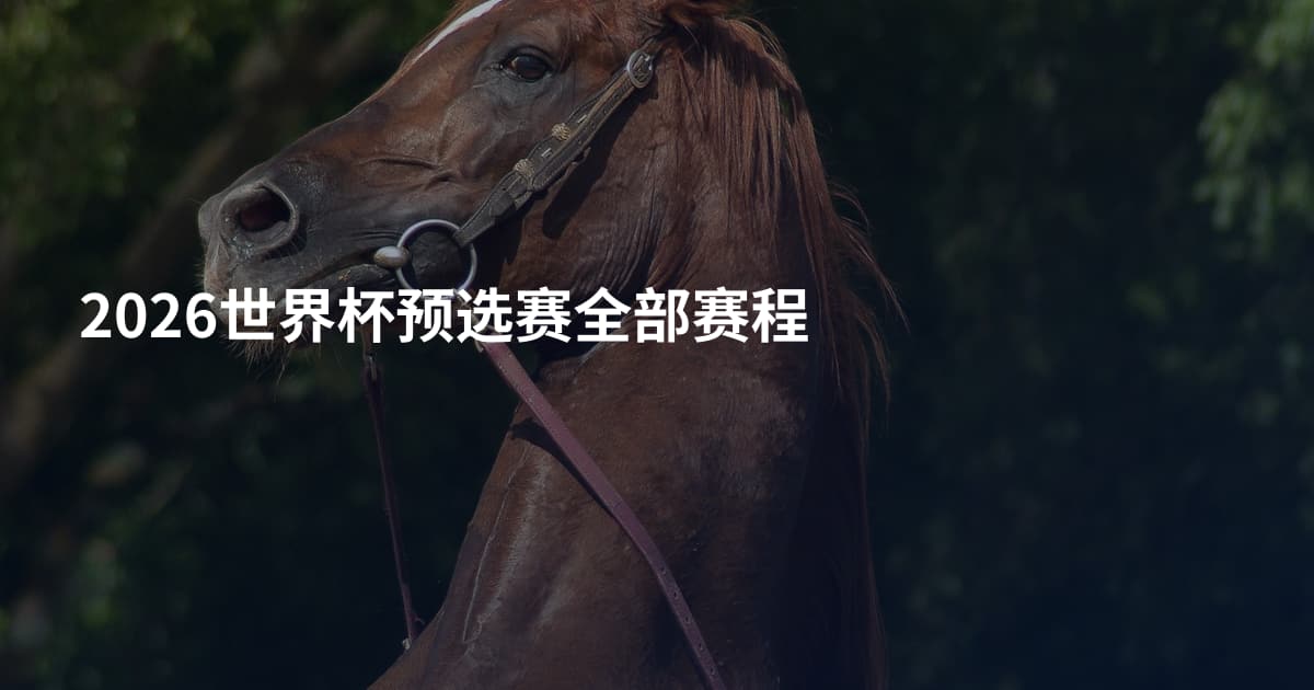 2026世界杯预选赛全部赛程