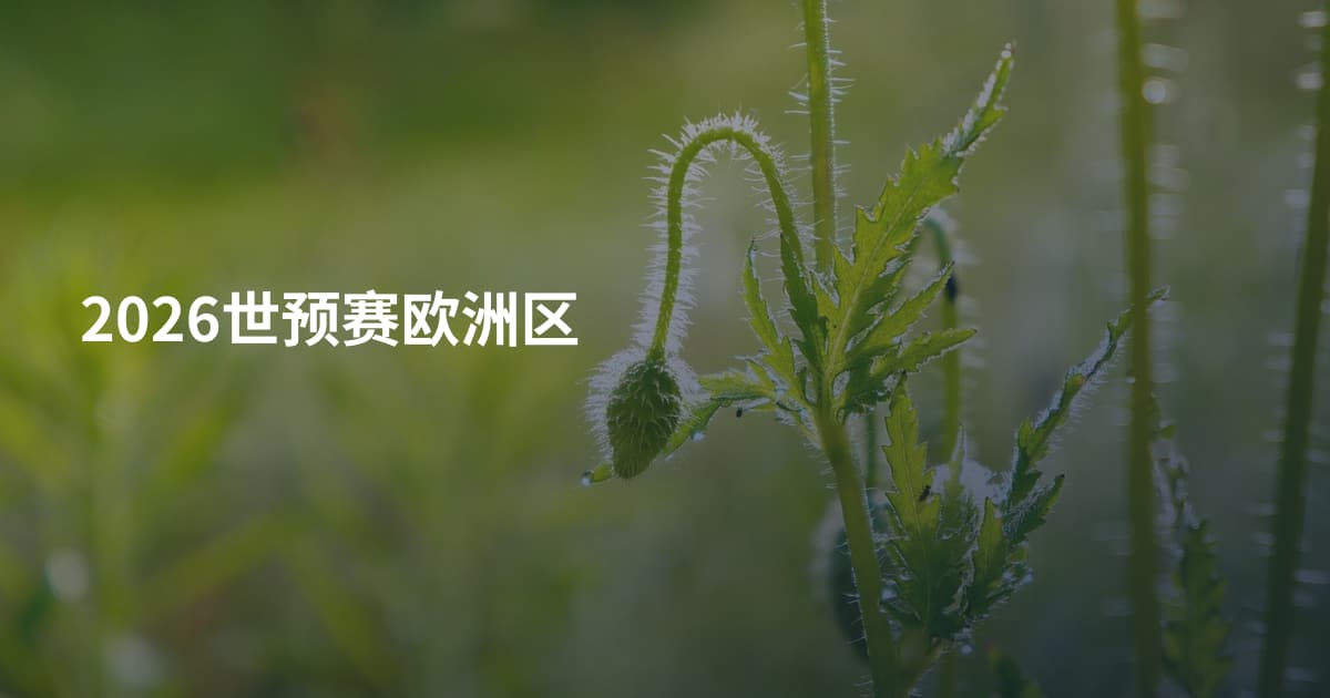 2026世预赛欧洲区