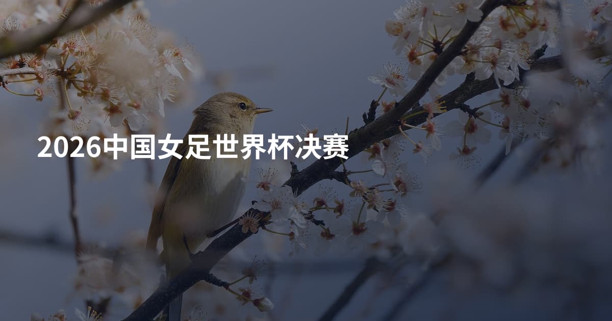 2026中国女足世界杯决赛