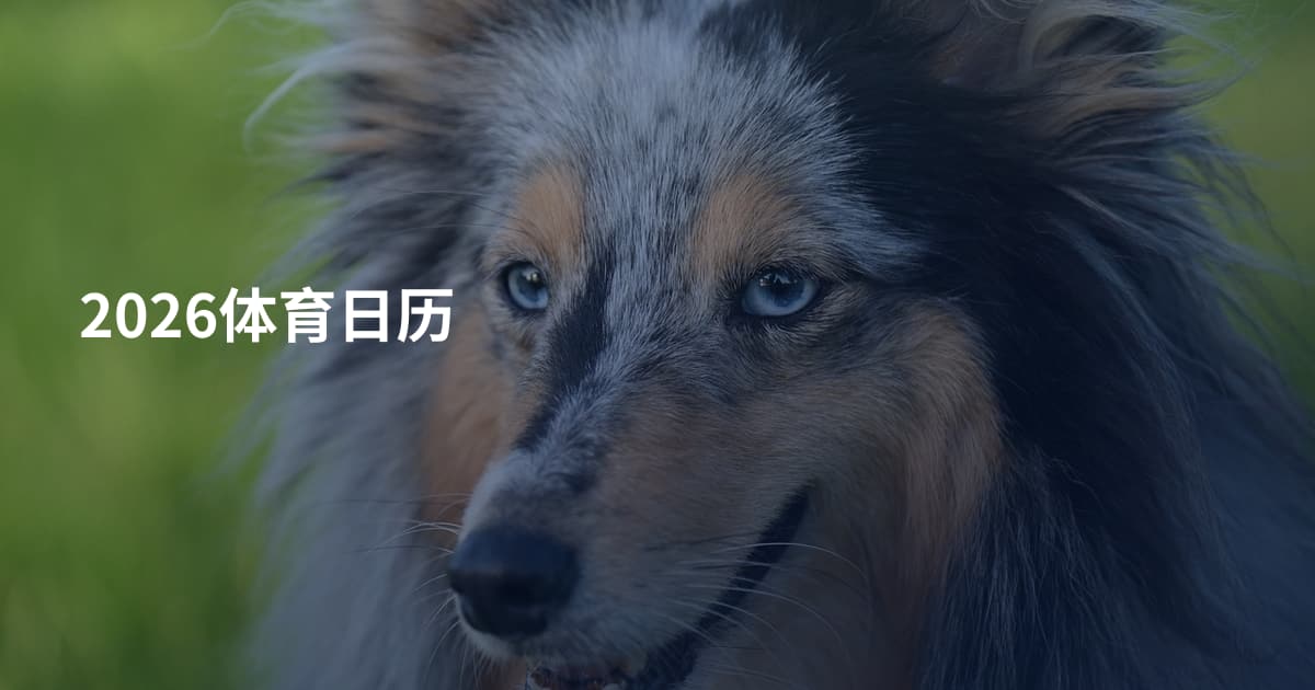 2026体育日历