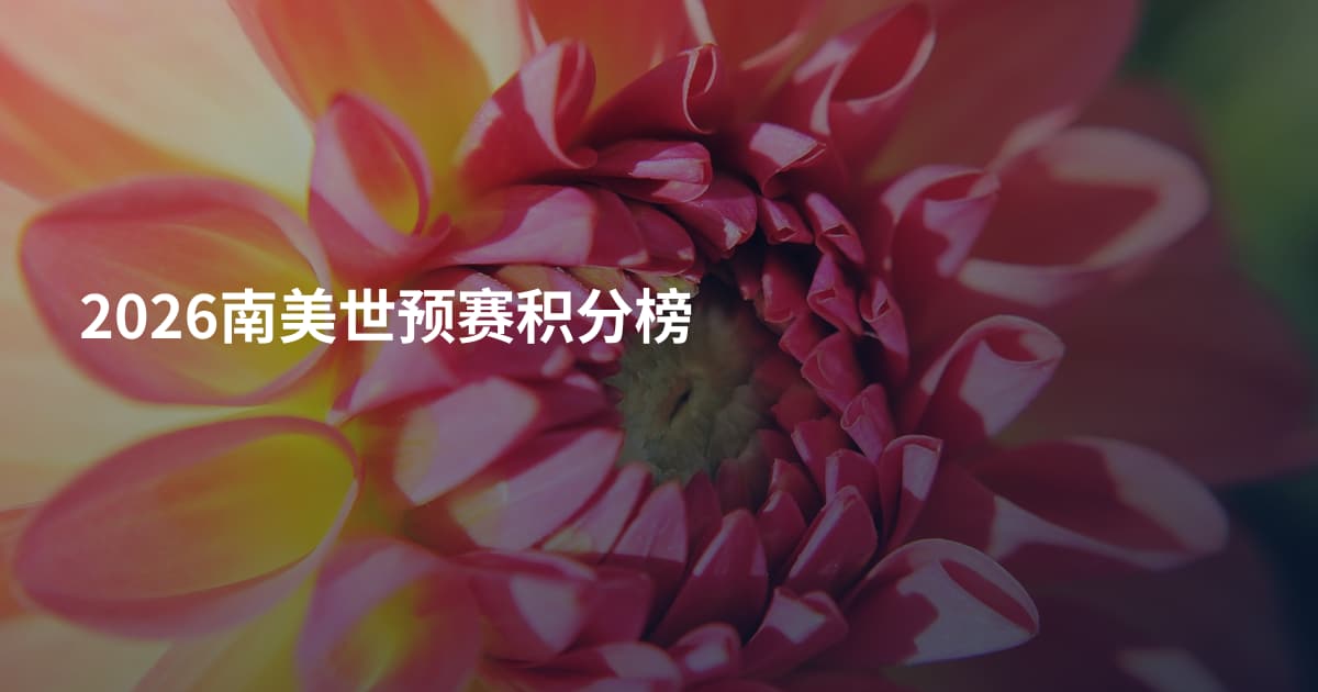 2026南美世预赛积分榜