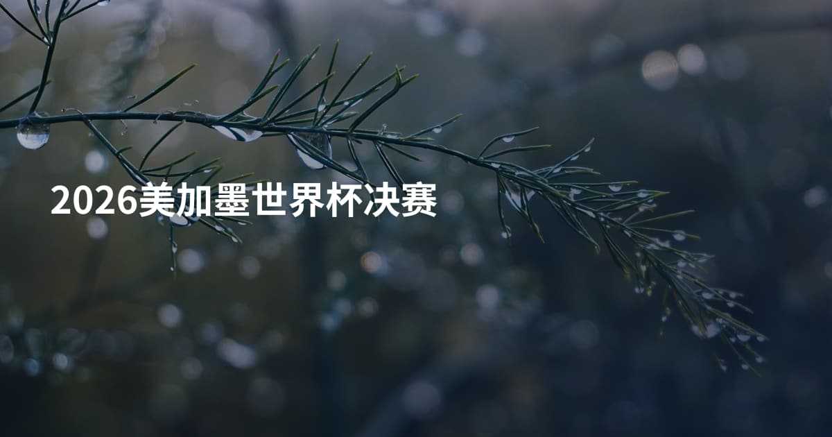 2026美加墨世界杯决赛