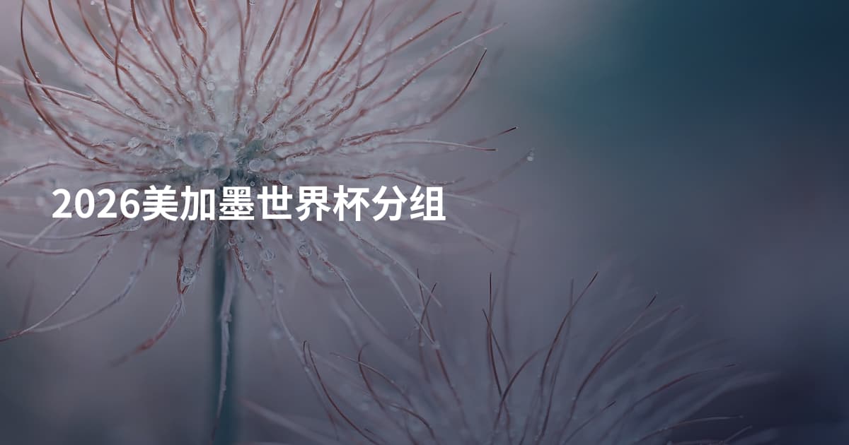 2026美加墨世界杯分组