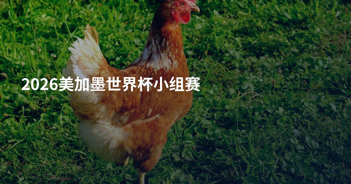 2026美加墨世界杯小组赛