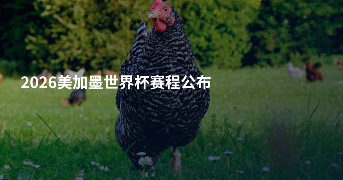 2026美加墨世界杯赛程公布