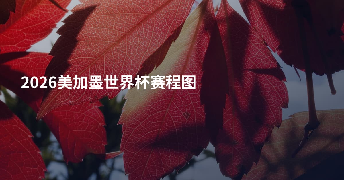 2026美加墨世界杯赛程图