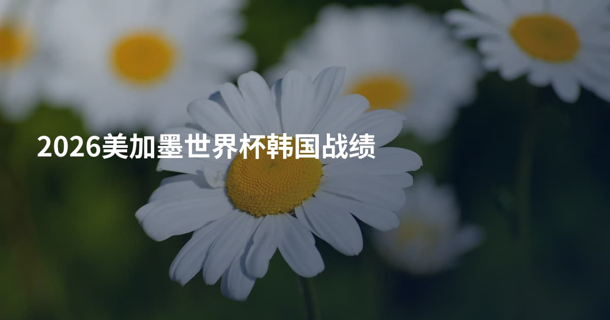 2026美加墨世界杯韩国战绩