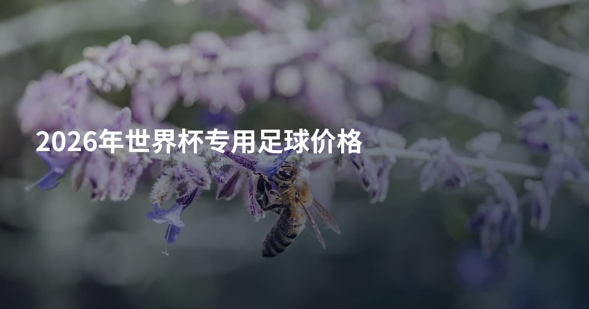 2026年世界杯专用足球价格