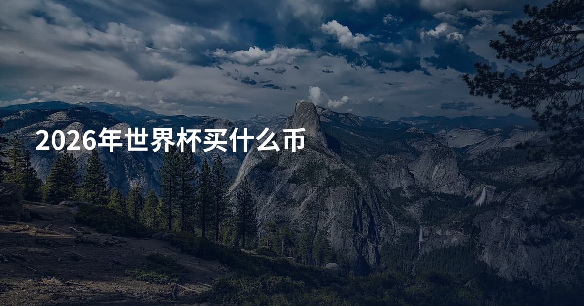 2026年世界杯买什么币