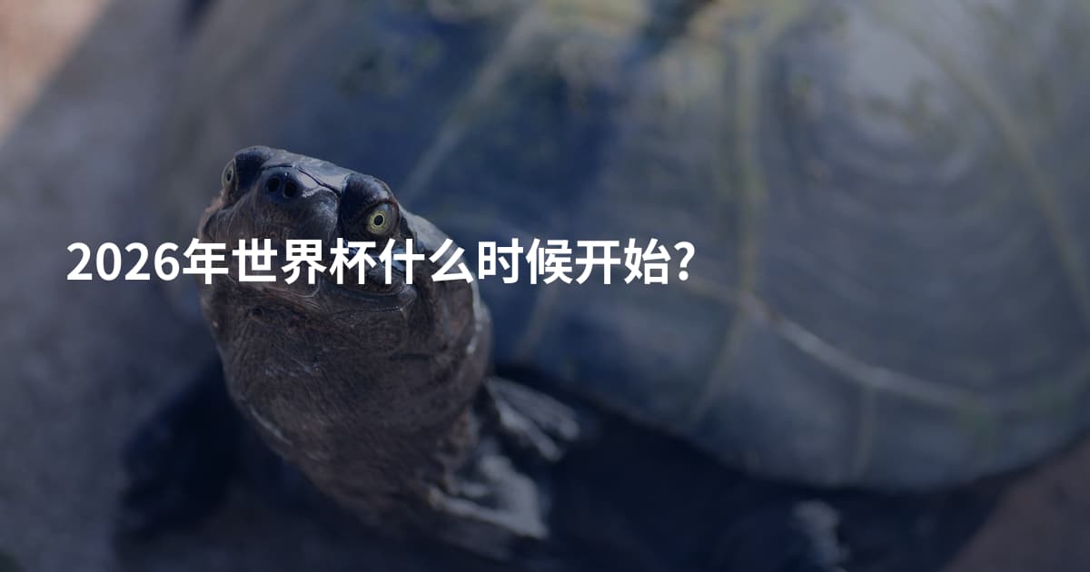 2026年世界杯什么时候开始?