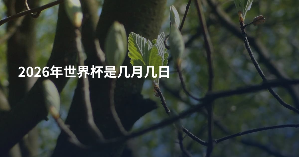 2026年世界杯是几月几日