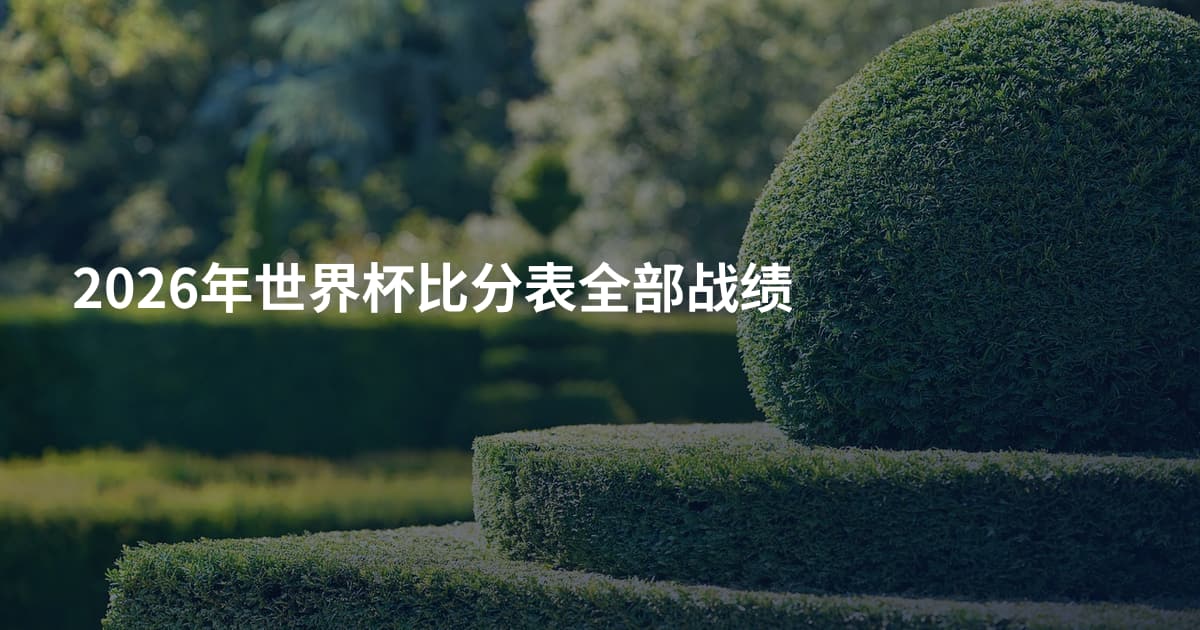 2026年世界杯比分表全部战绩
