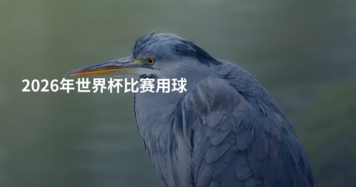 2026年世界杯比赛用球