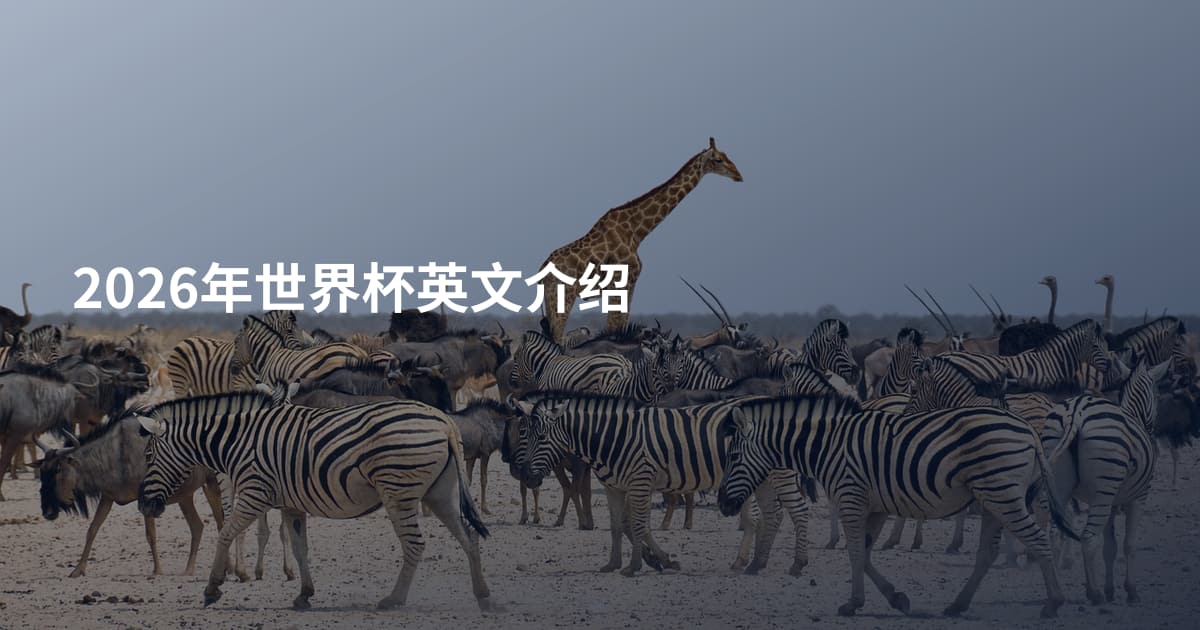 2026年世界杯英文介绍